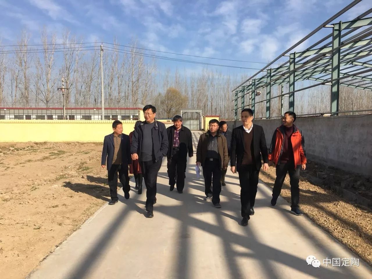 最新定陶新闻，探索自然美景之旅，寻找内心平静之道