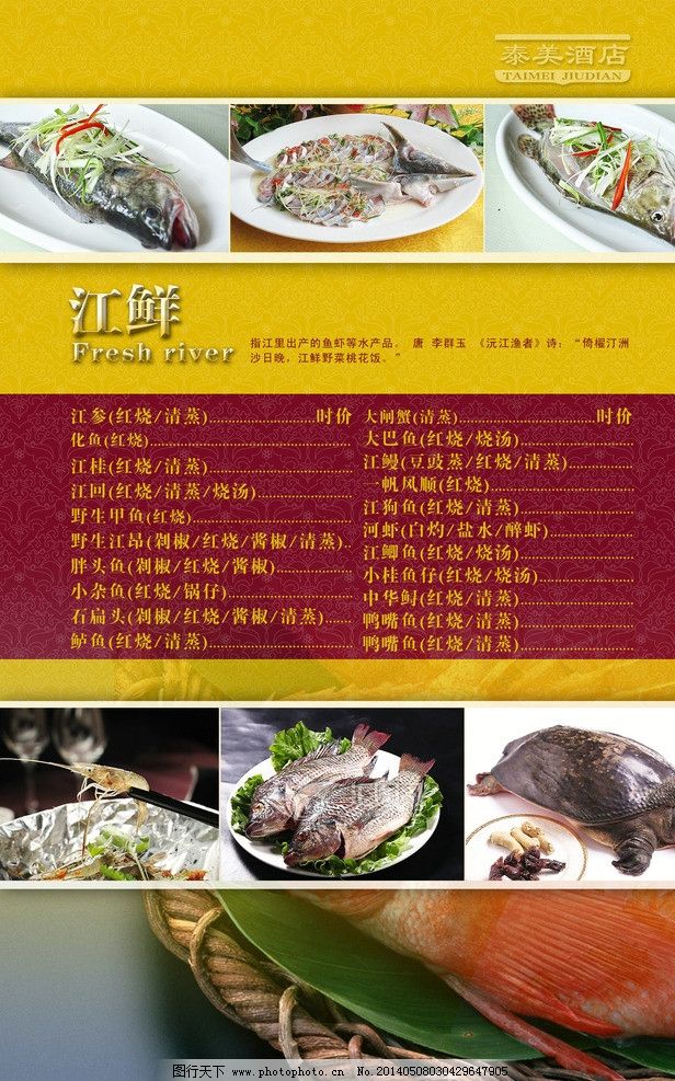 近江水产最新动态，鱼趣与友情的温馨日常