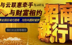 揭秘特色小店探秘，小巷中的惊喜与云联惠最新消息