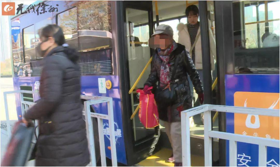 加州玫瑰园最新动态与全面游览指南，打造完美体验之旅