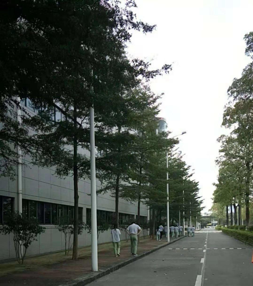 金立最新重组，重塑企业辉煌之路启幕