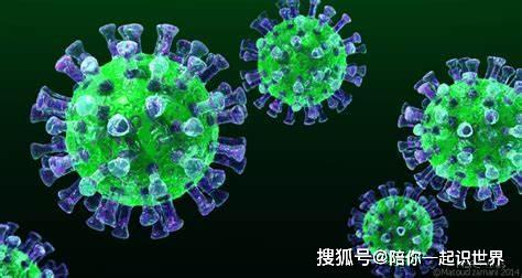 全球病毒疫情最新动态，变化中的学习，汇聚希望与力量