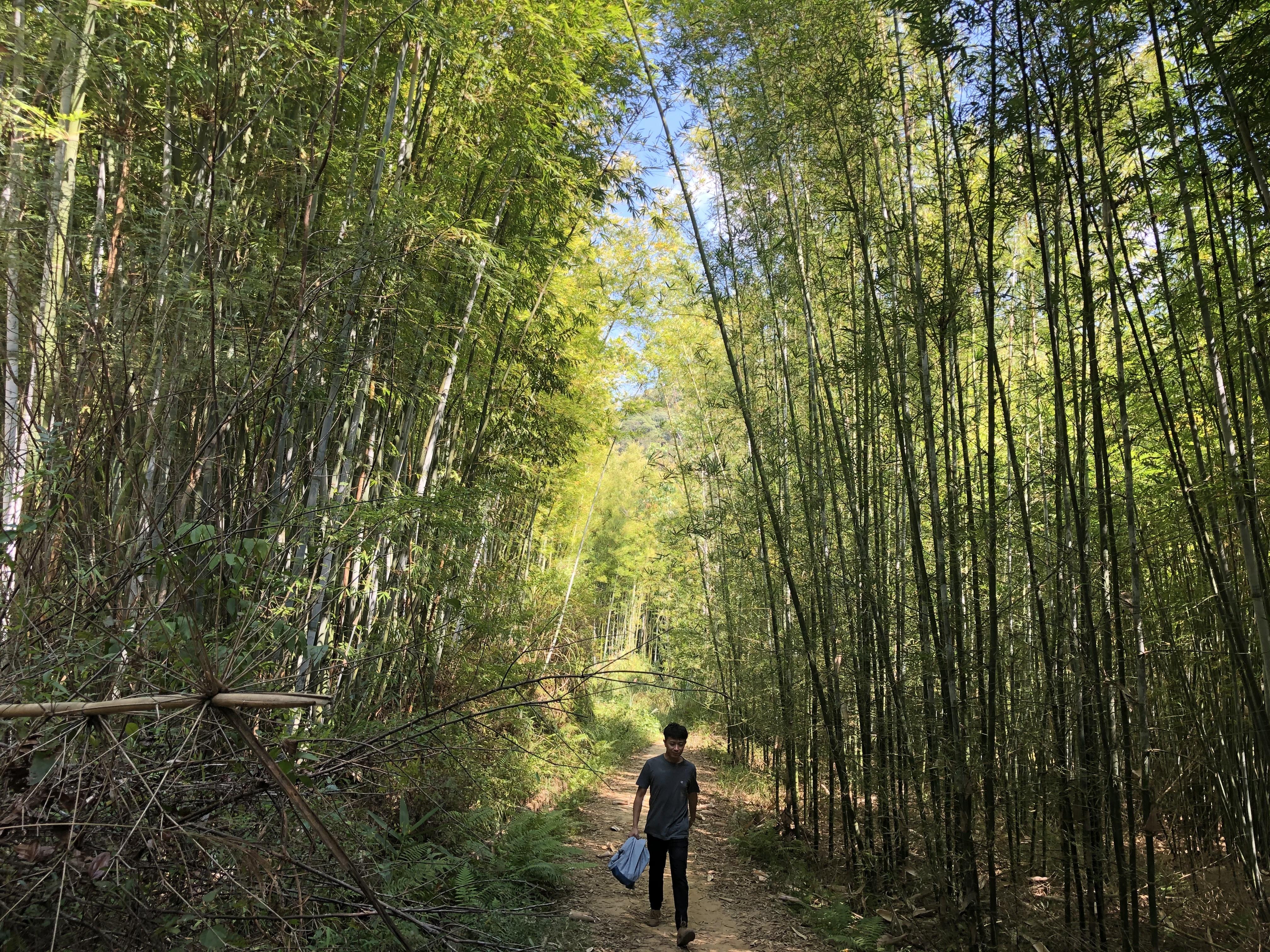 惠州芦泰大桥最新动态与一段温暖的桥梁故事